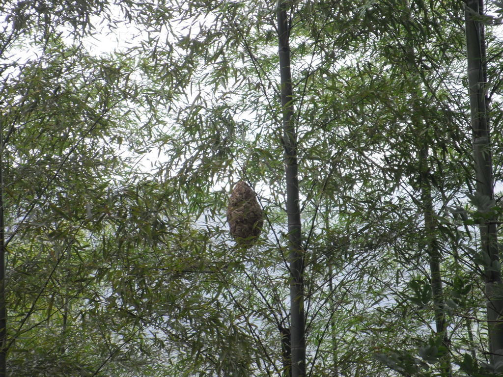 DSCF2058.JPG