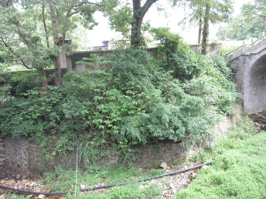 DSCF2068.JPG