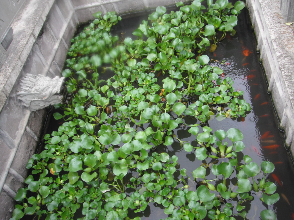 DSCF2075.JPG