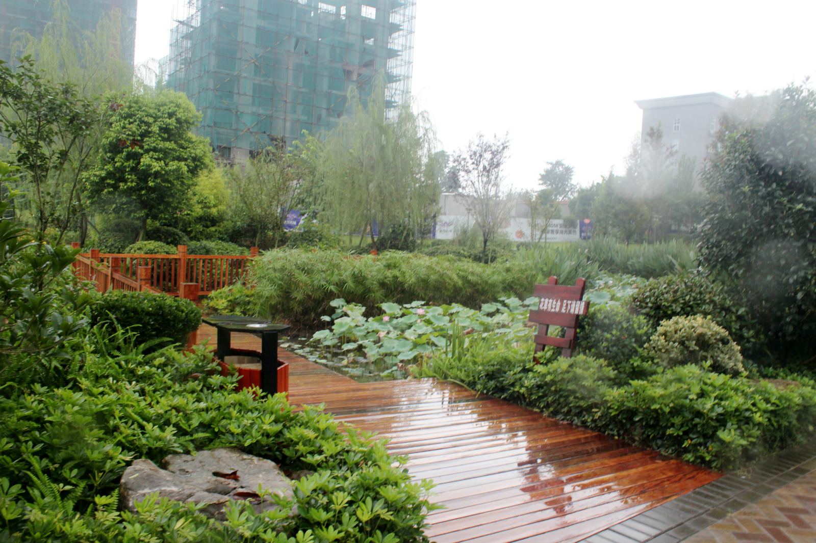 IMG_8154__meitu_13.jpg