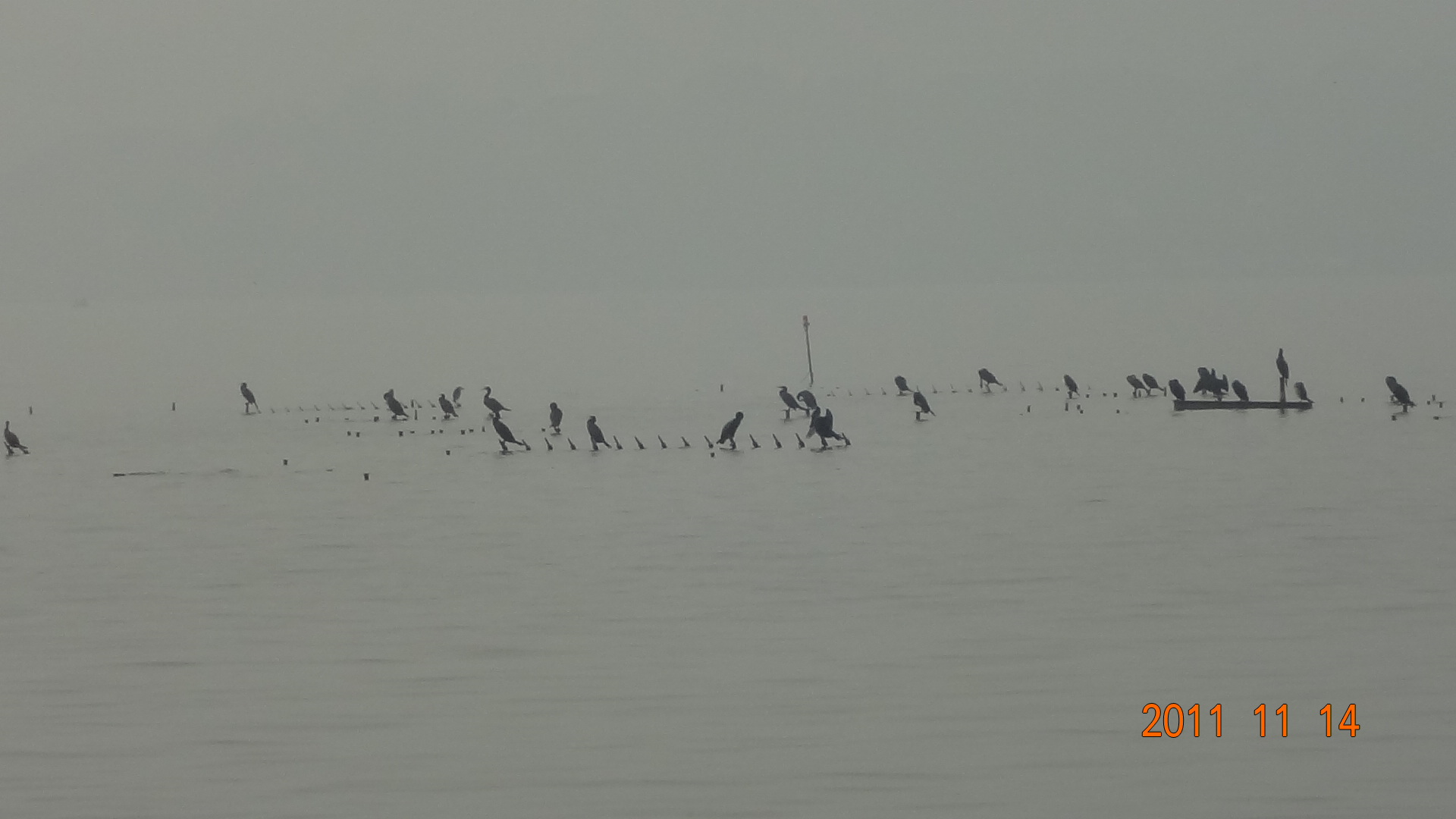 DSC00390.JPG