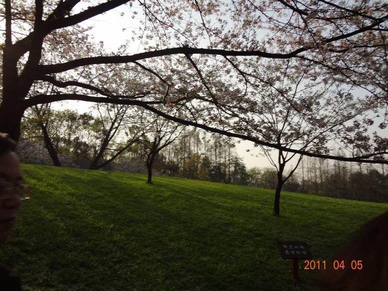 DSC00170.JPG