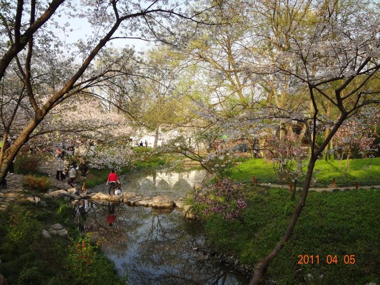 DSC00173.JPG
