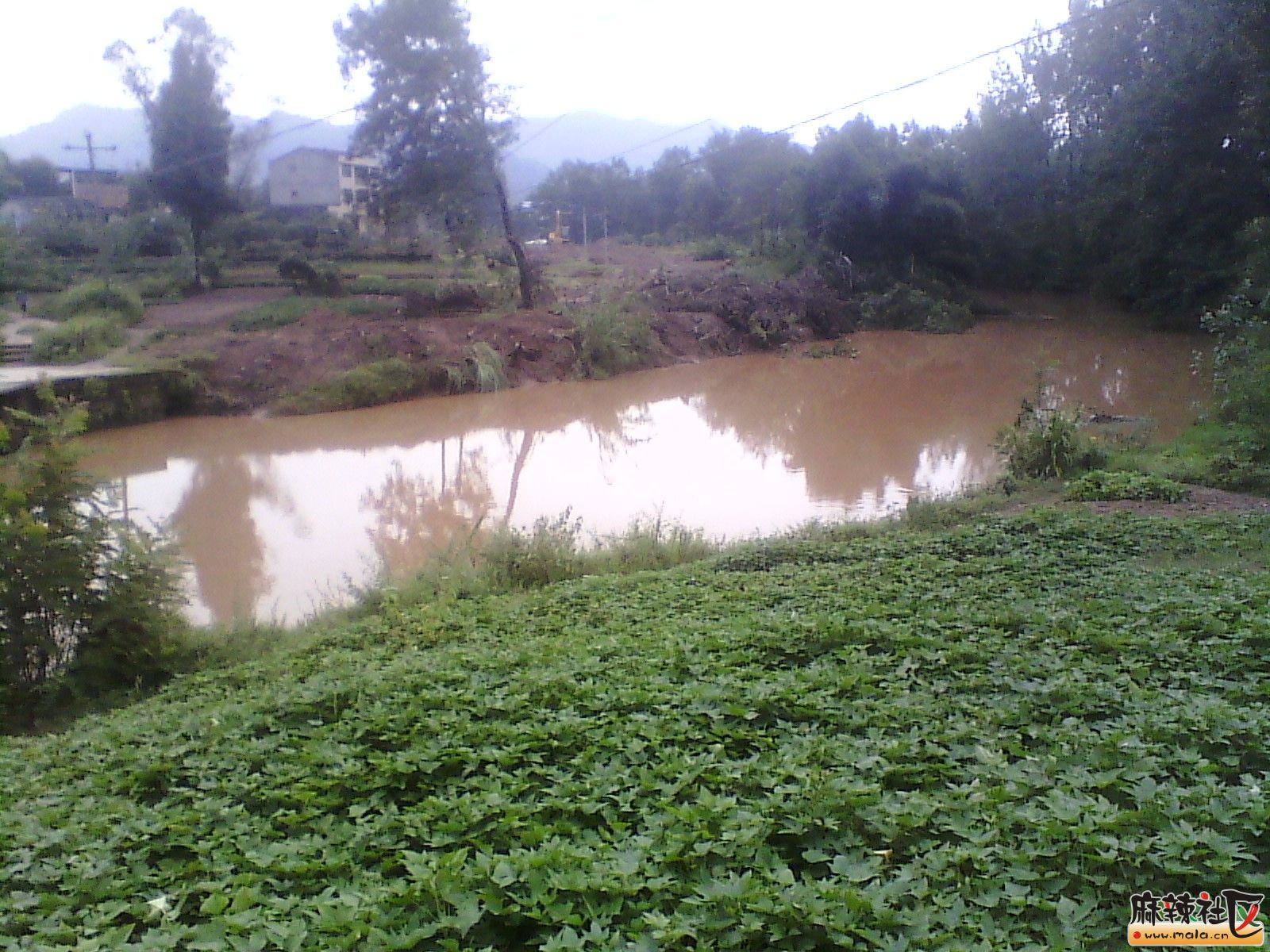 IMG_20130917_114244.jpg