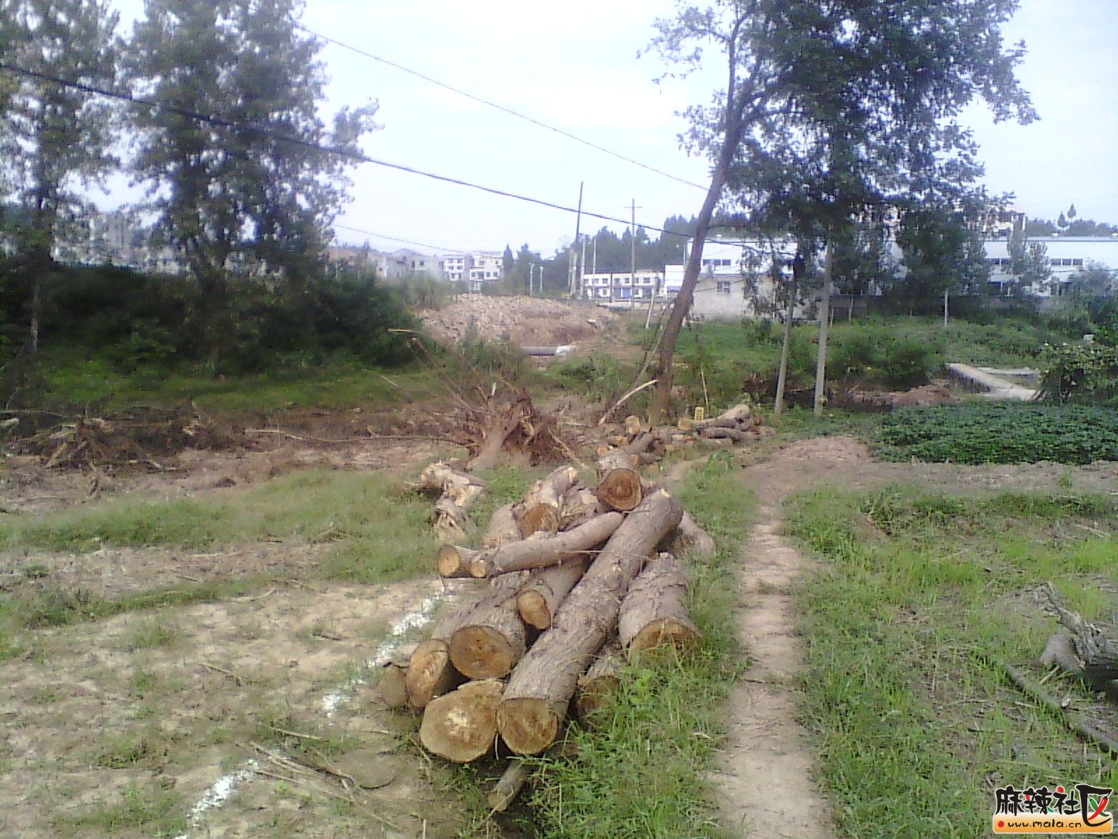 IMG_20130924_101254.jpg