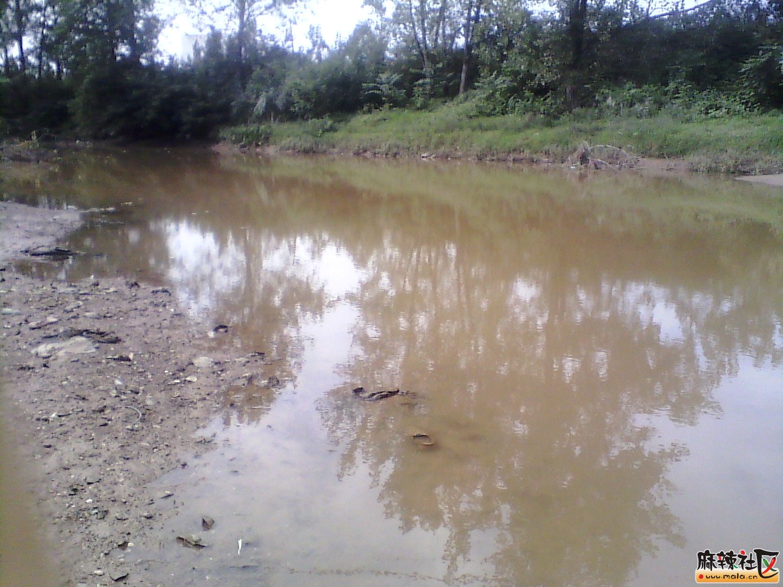 IMG_20130924_101514.jpg