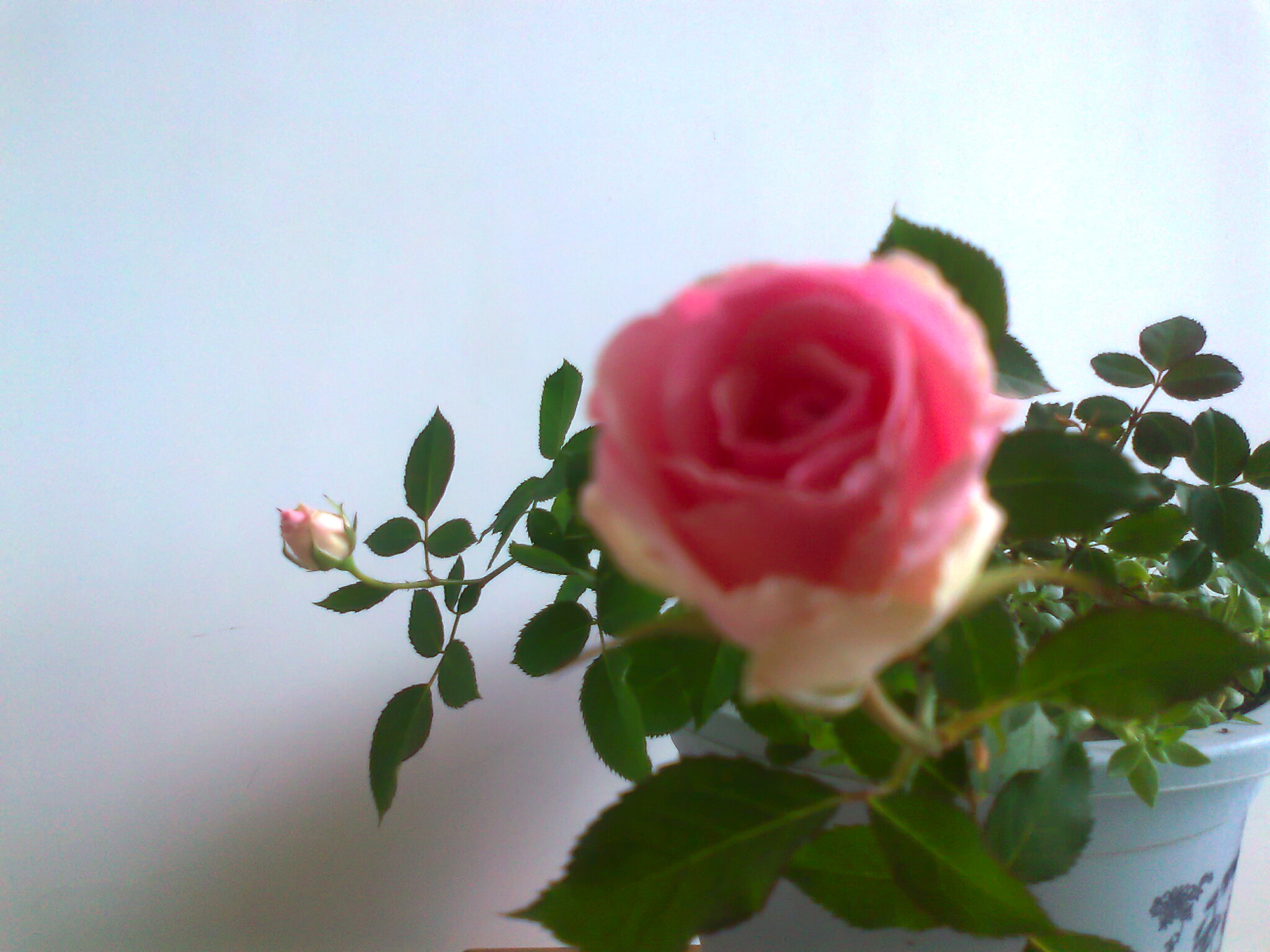 Ƭ0644.jpg