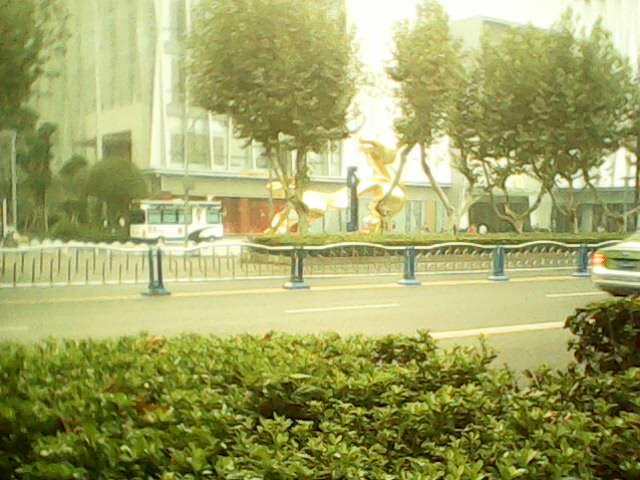 IMG4335A.jpg