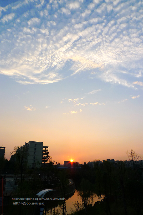 P1400017.jpg