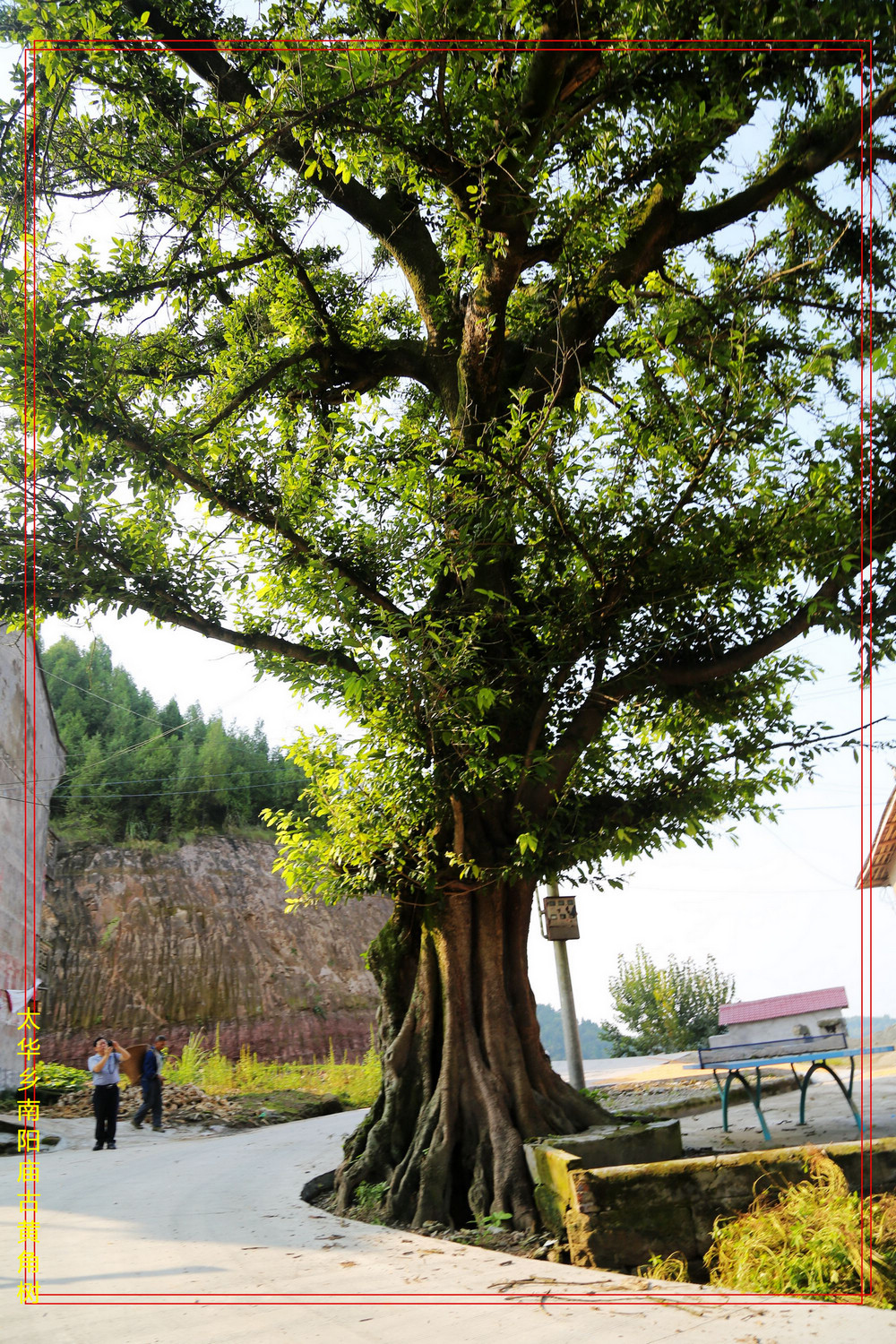 欢腾的升钟湖-----国际舟钓赛!