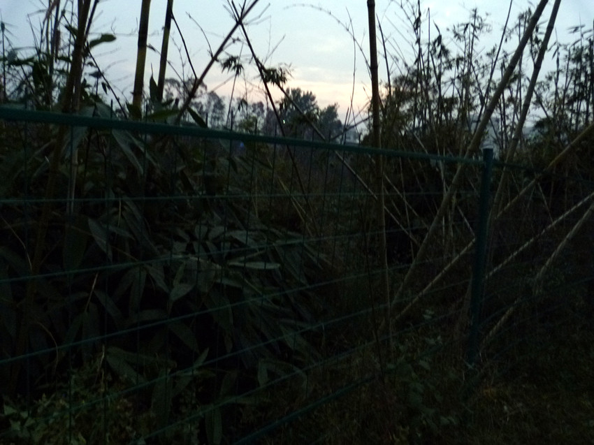 P1100393_.jpg