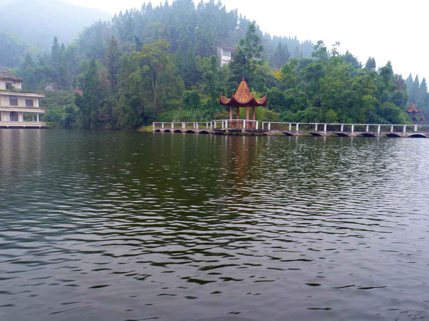 P1100603_.jpg