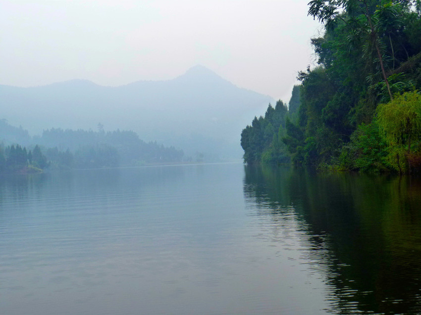 P1100609_.jpg