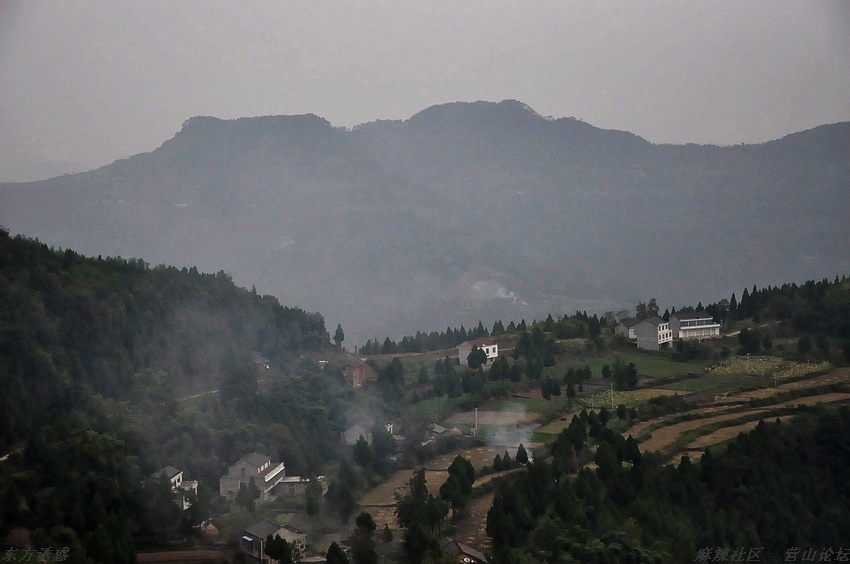 DSC_0262.jpg