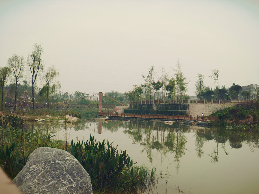 P1090922_.jpg