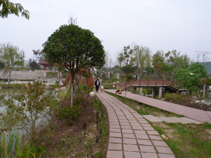 P1090954_.jpg