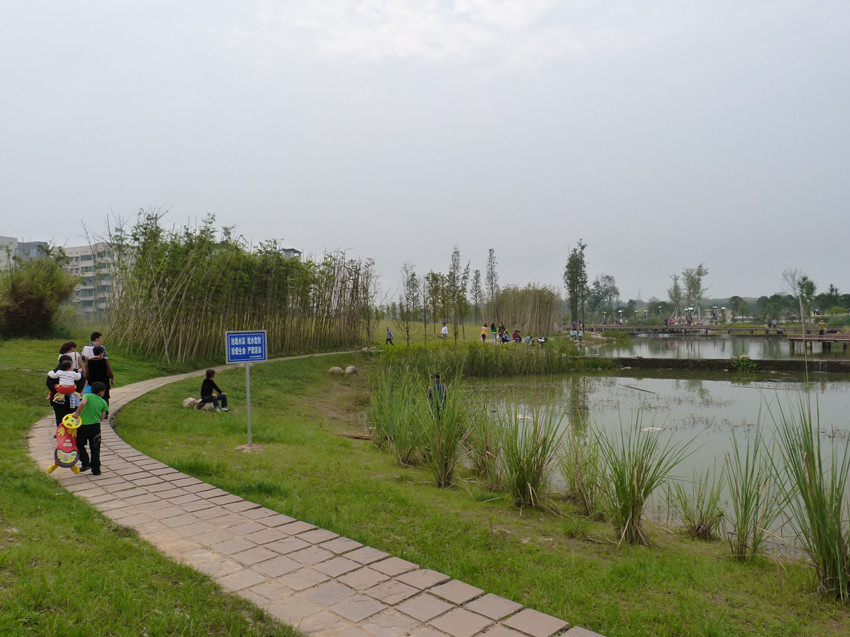 P1090989_.jpg