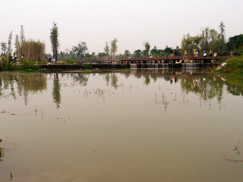 P1090993_.jpg
