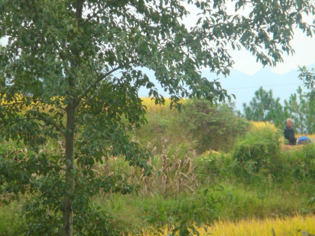 DSC09022.JPG