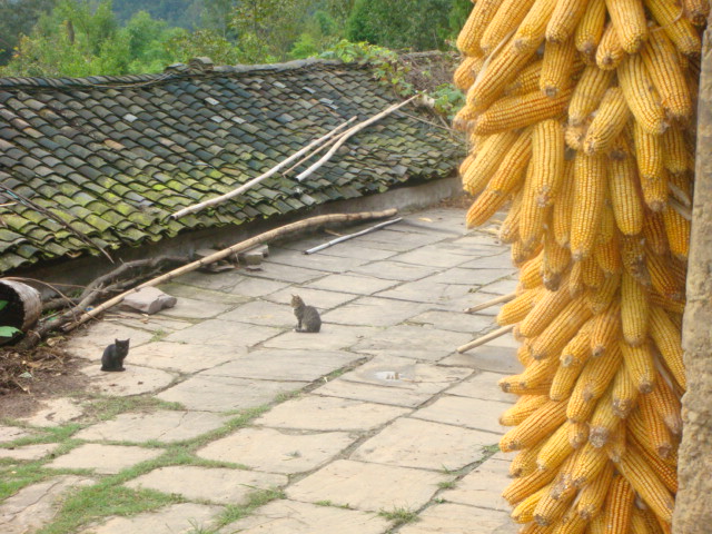 DSC08980.JPG