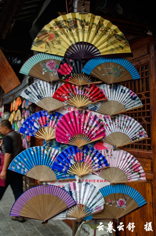 DSC_7866_conew1.jpg