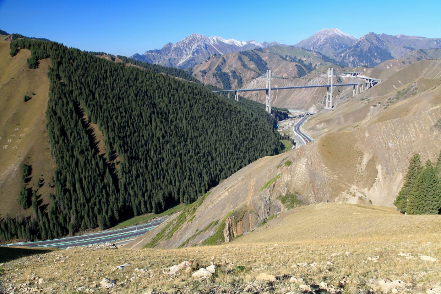 ء½ (104).jpg