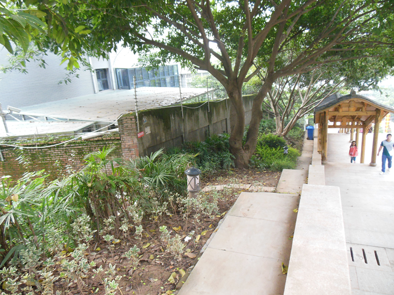 DSCN2805_.jpg