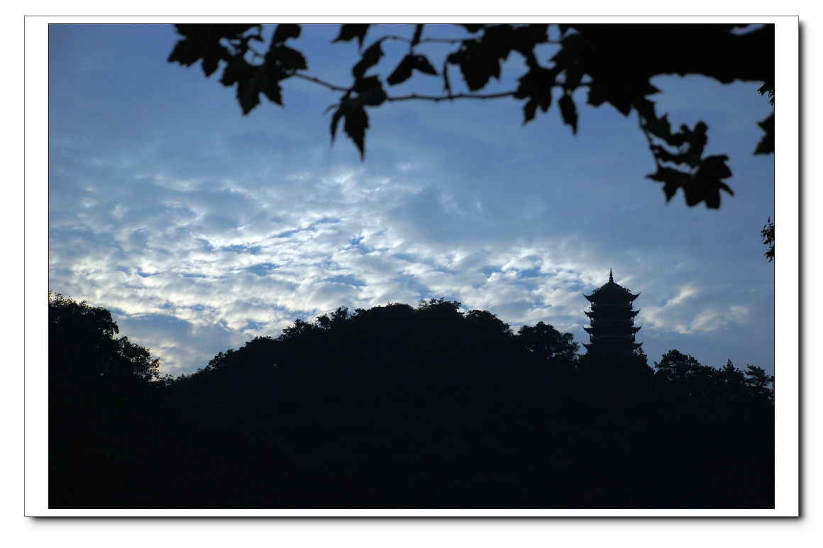 DSC_9503.jpg