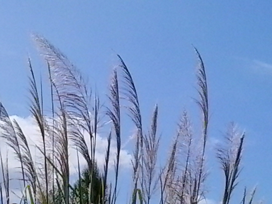 20130924_145034.jpg