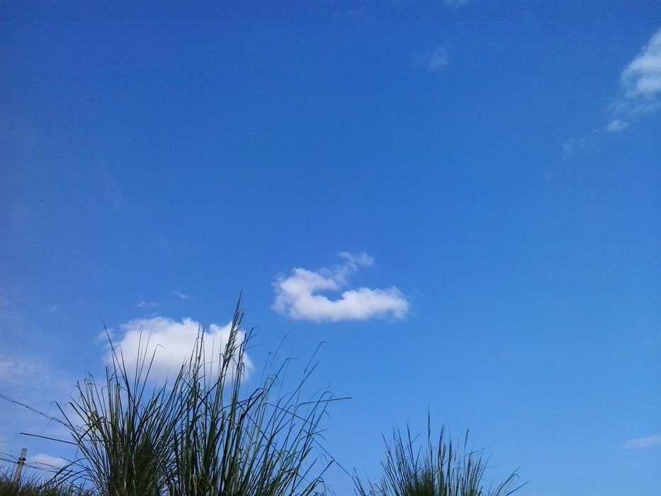 20130924_150258.jpg