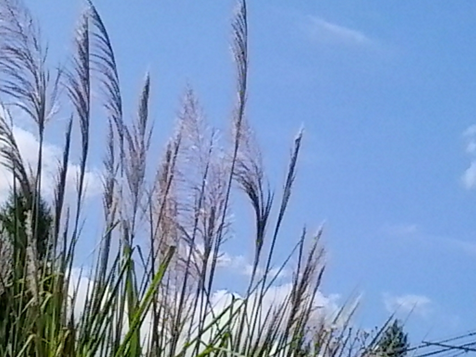 20130924_145044.jpg