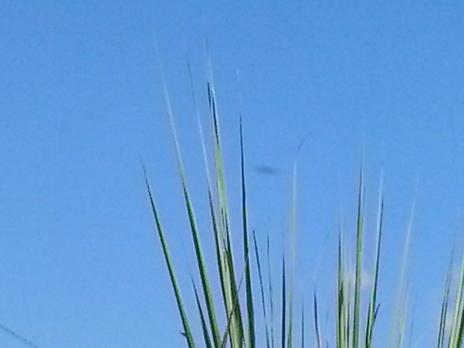 20130924_145135.jpg
