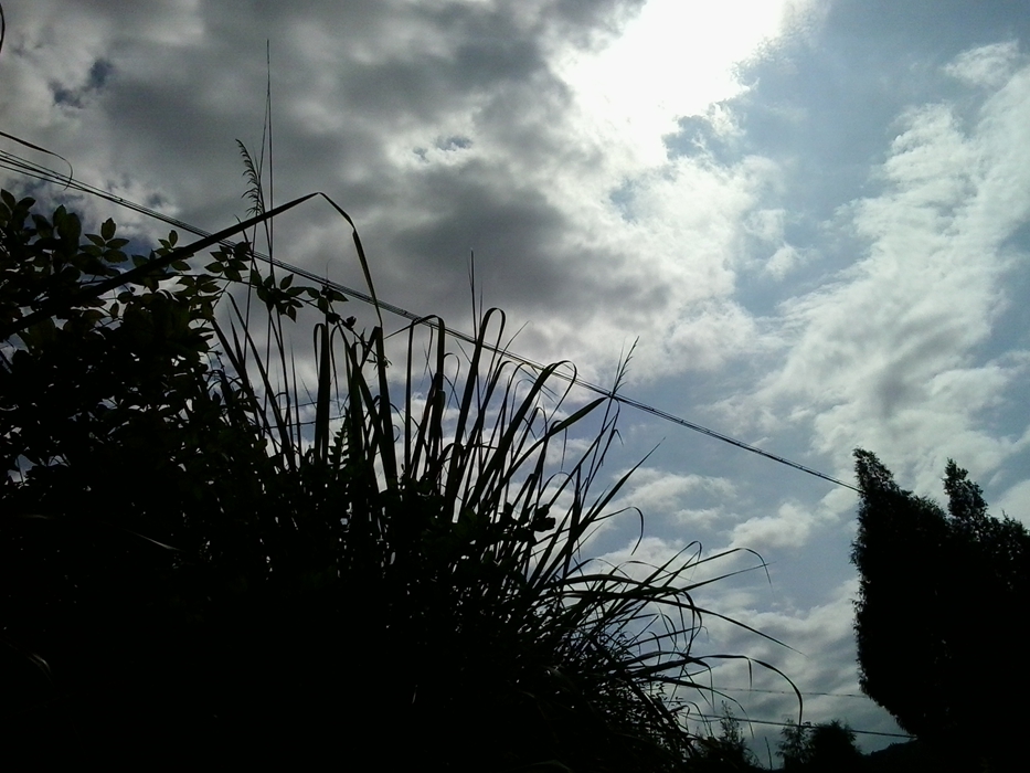 20130924_145953.jpg