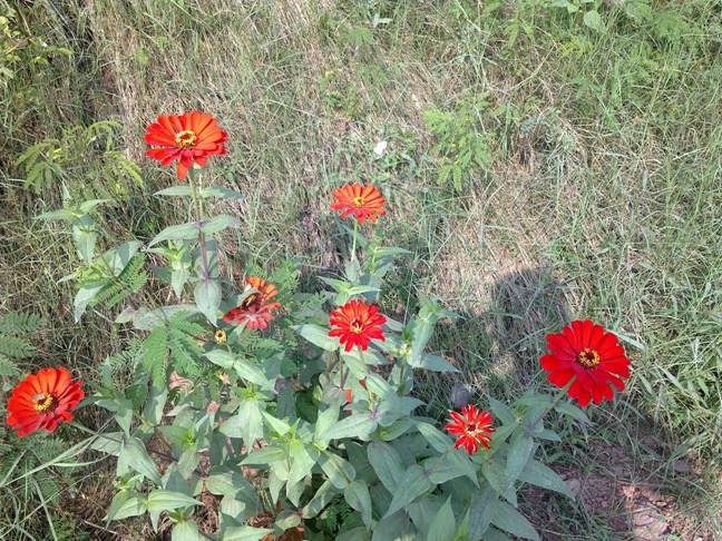 20131006142.jpg