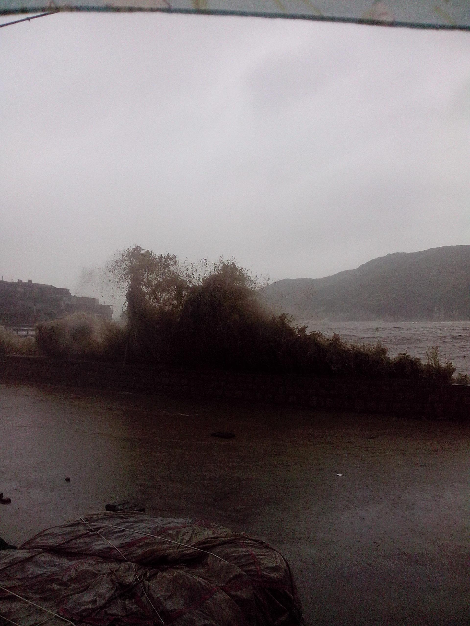 IMG_20131008_113325_02_19452640.jpg