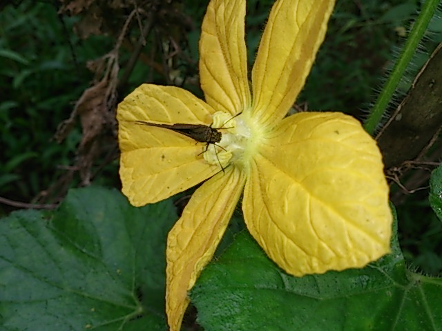 DSC_1203.jpg