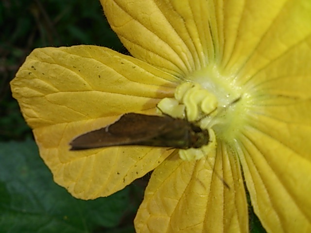 DSC_1208.jpg