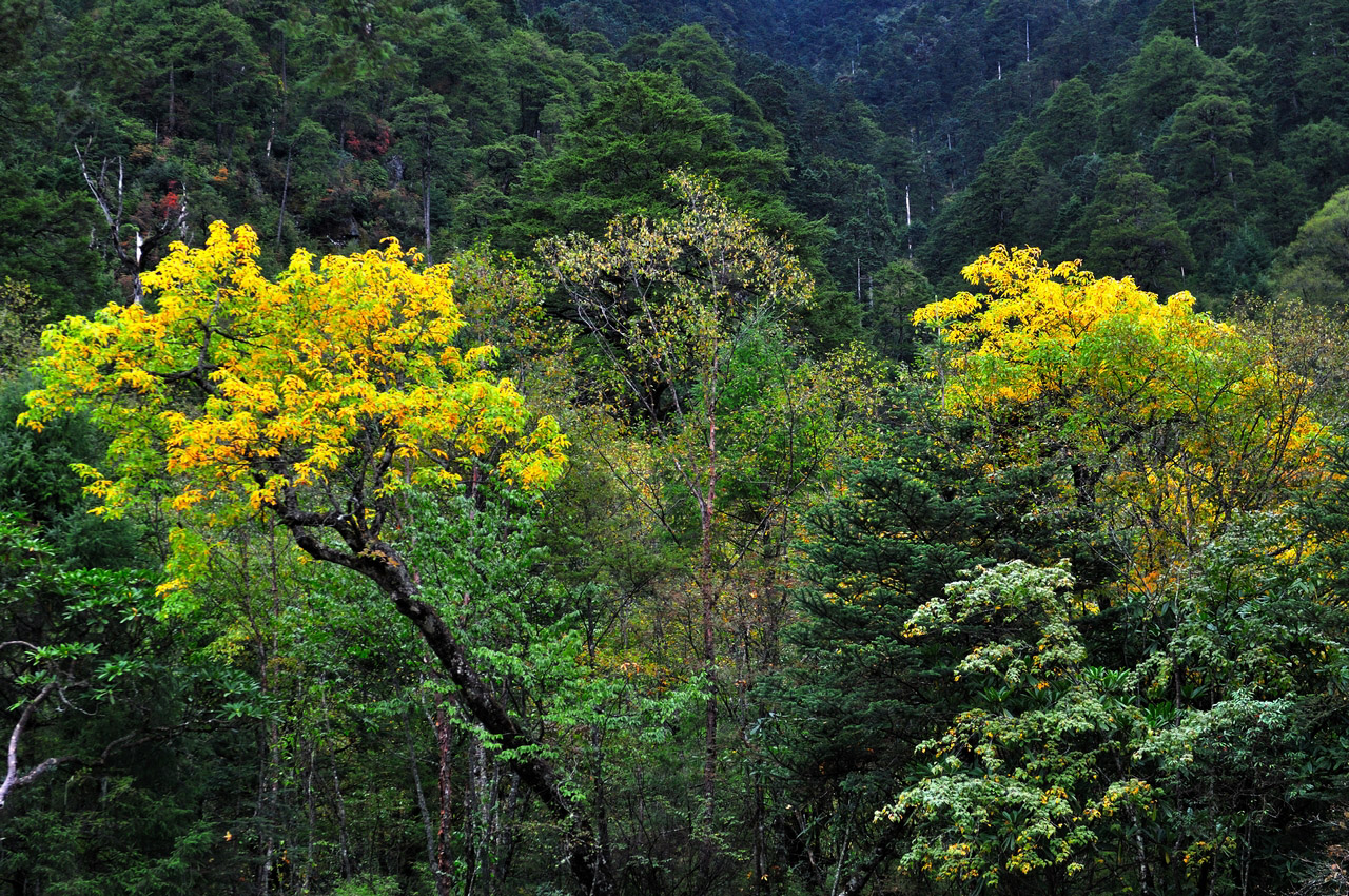 20131004-DSC_0756.jpg