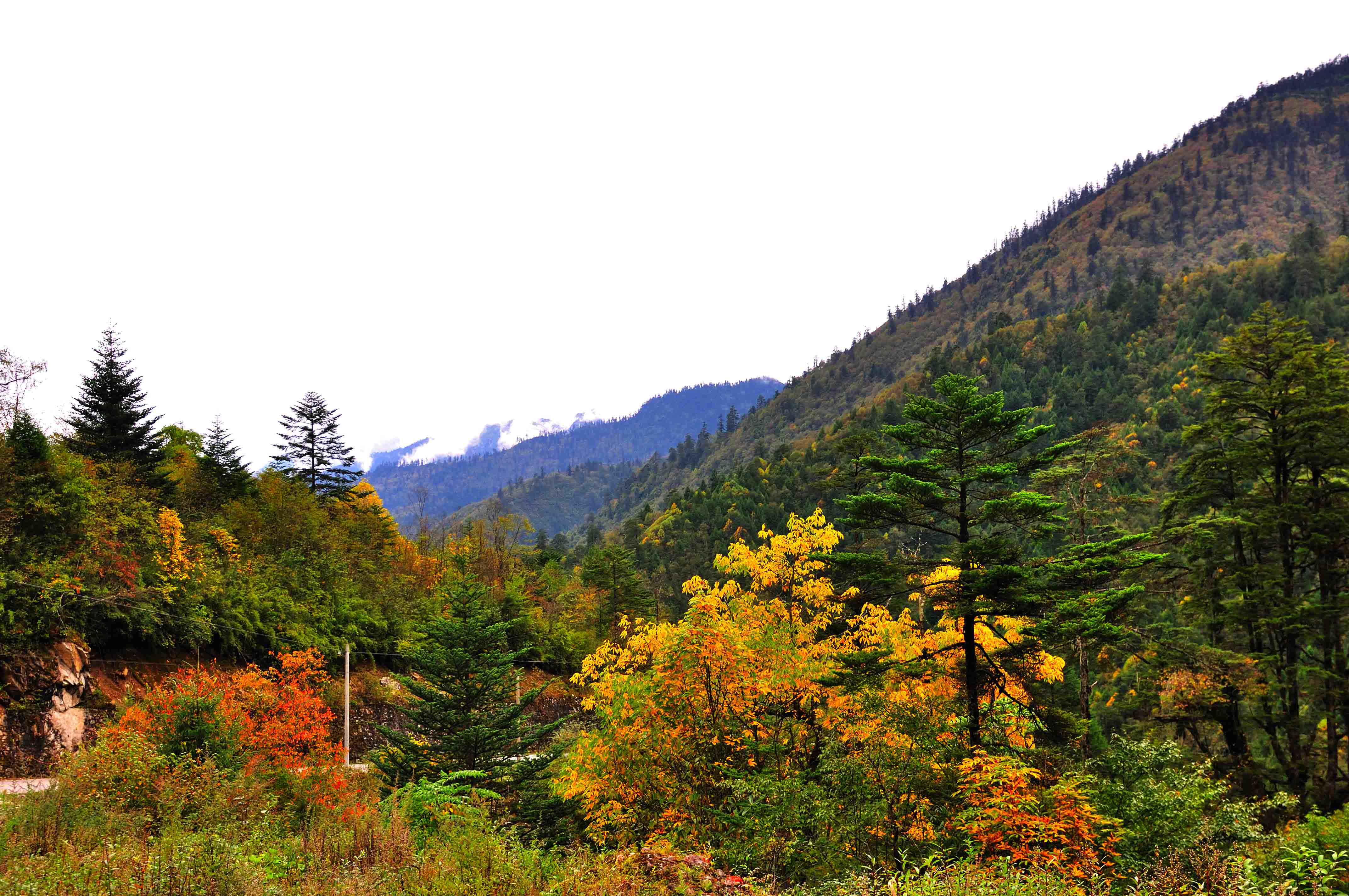 20131004-DSC_0776.jpg