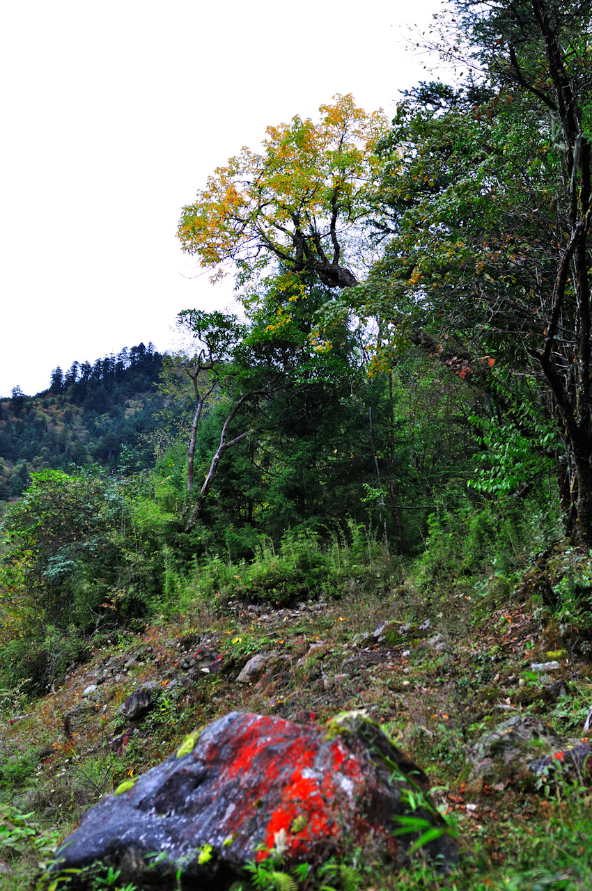 20131004-DSC_0760.jpg