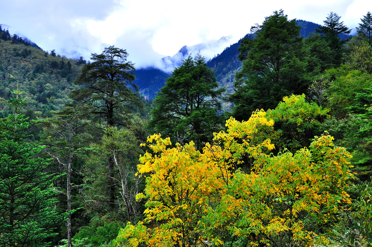 20131004-DSC_0775.jpg