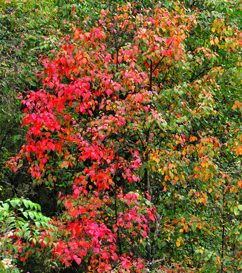 20131004-DSC_0785.jpg