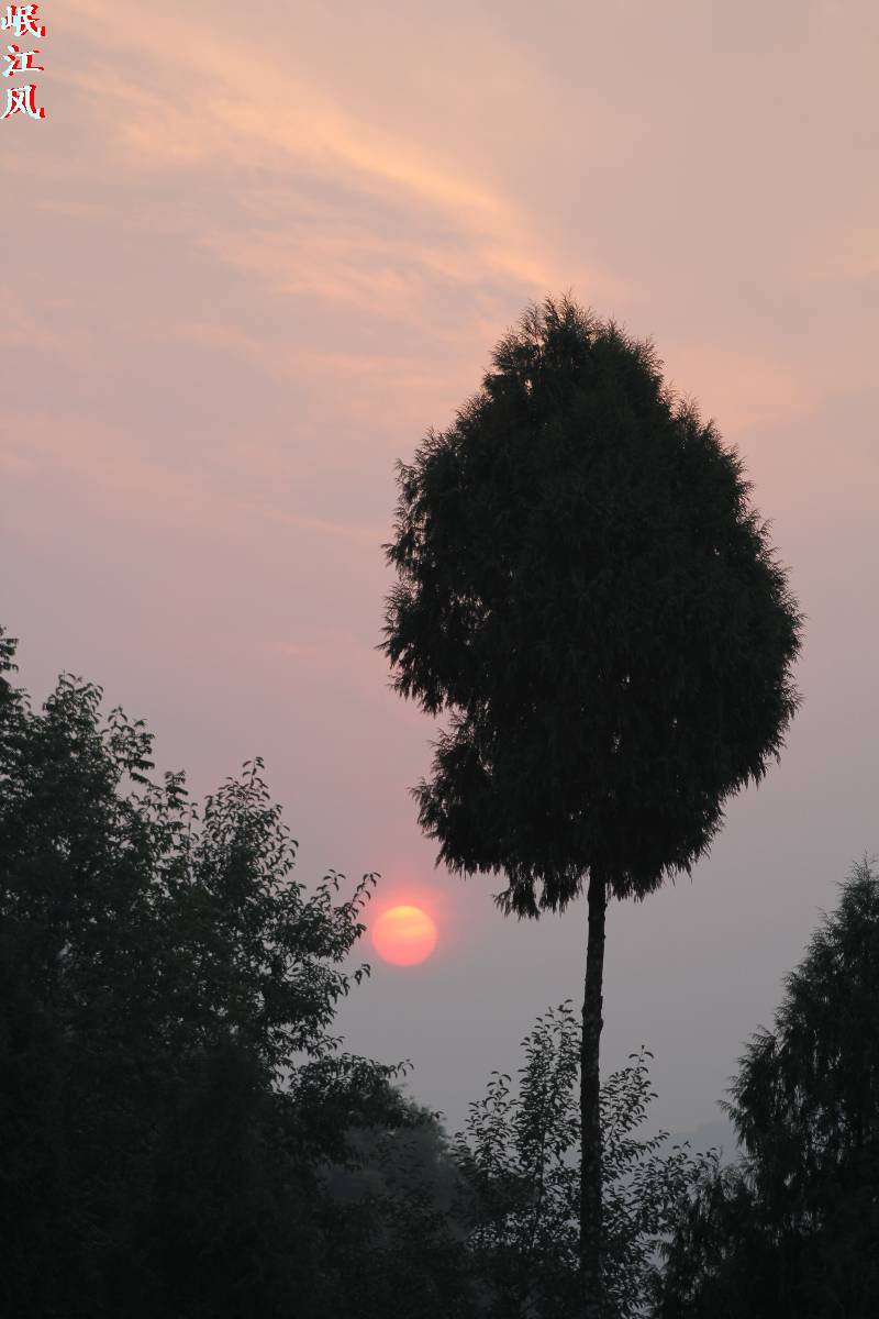IMG_1486.jpg