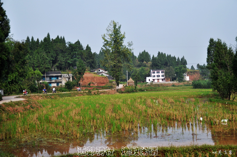 DSC_5568.jpg