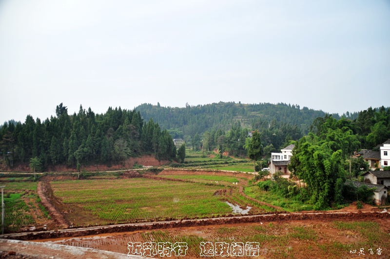 DSC_5586.jpg