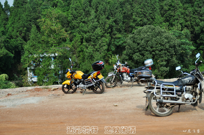 DSC_5595.jpg