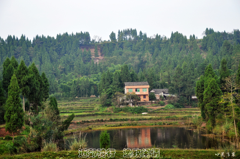 DSC_5725.jpg