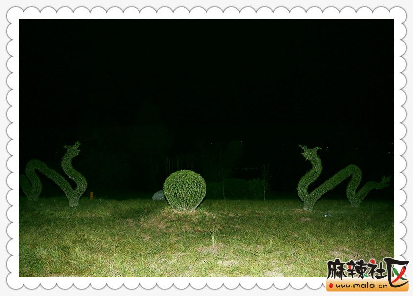 CHB_8295_.jpg