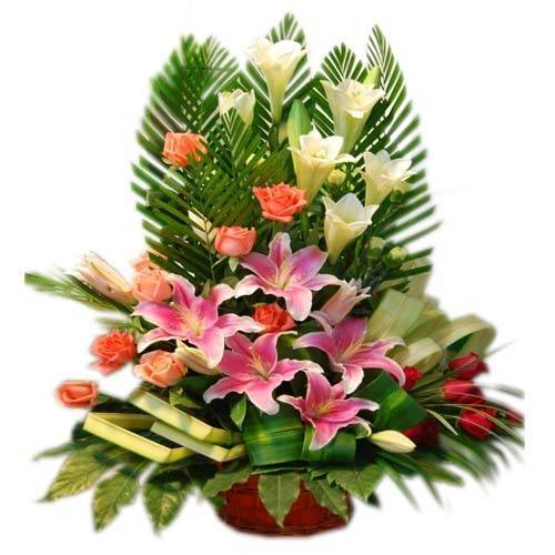 [原创] 祝老人们节日快乐(打油诗一首)