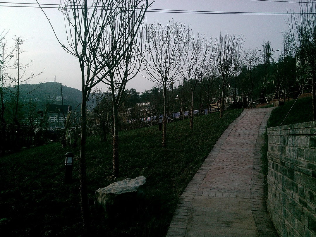 IMG_20131013_170421_0.jpg